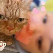 ヒメ日記 2025/12/21 21:58 投稿 ゆう ぷよステーション 蒲田店