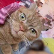 ヒメ日記 2025/12/22 22:58 投稿 ゆう ぷよステーション 蒲田店