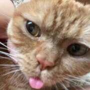 ヒメ日記 2025/12/28 00:38 投稿 ゆう ぷよステーション 蒲田店