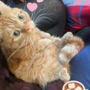 ヒメ日記 2025/12/30 00:18 投稿 ゆう ぷよステーション 蒲田店