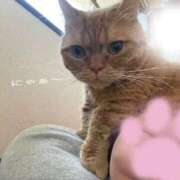 ヒメ日記 2026/01/04 15:48 投稿 ゆう ぷよステーション 蒲田店