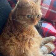 ヒメ日記 2026/01/04 22:38 投稿 ゆう ぷよステーション 蒲田店