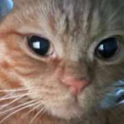 ヒメ日記 2026/01/06 00:28 投稿 ゆう ぷよステーション 蒲田店