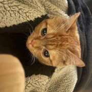 ヒメ日記 2026/01/11 05:08 投稿 ゆう ぷよステーション 蒲田店