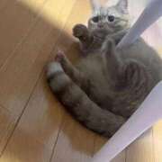 ヒメ日記 2026/02/08 09:48 投稿 ゆう ぷよステーション 蒲田店