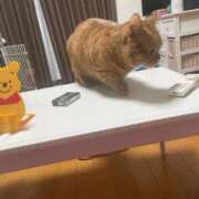 ヒメ日記 2026/02/13 20:28 投稿 ゆう ぷよステーション 蒲田店