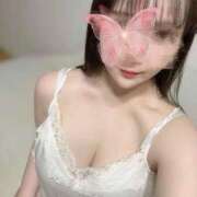 ヒメ日記 2026/01/23 11:22 投稿 ゆゆ 東京リップ 池袋店