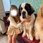 ヒメ日記 2026/04/15 12:20 投稿 はのん ハピネス水戸