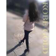 ヒメ日記 2025/12/12 20:14 投稿 しずか KOBE GOLD