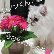 ヒメ日記 2025/12/15 10:15 投稿 利休 熟女の風俗最終章 横浜本店