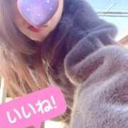 ヒメ日記 2025/12/20 19:06 投稿 翠 モアグループ所沢人妻城