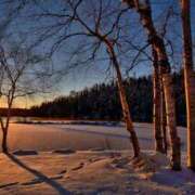 ヒメ日記 2026/01/21 17:27 投稿 翠 モアグループ所沢人妻城