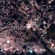 ヒメ日記 2026/02/21 21:12 投稿 翠 モアグループ所沢人妻城