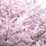 ヒメ日記 2026/03/07 11:03 投稿 翠 モアグループ所沢人妻城