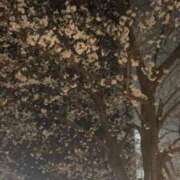 ヒメ日記 2026/03/25 19:57 投稿 翠 モアグループ所沢人妻城