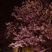 ヒメ日記 2026/03/26 19:27 投稿 翠 モアグループ所沢人妻城