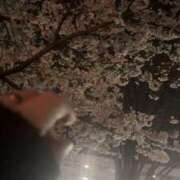 ヒメ日記 2026/03/28 23:03 投稿 翠 モアグループ所沢人妻城