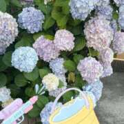 ヒメ日記 2026/06/18 11:03 投稿 翠 モアグループ所沢人妻城