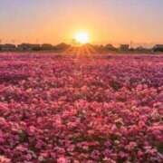 翠 朝から会ってね？💖 モアグループ所沢人妻城