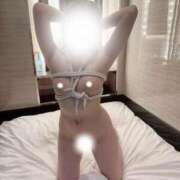 ヒメ日記 2026/01/19 18:23 投稿 HOTARU さくらん東京