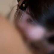 ヒメ日記 2026/04/14 10:49 投稿 HOTARU さくらん東京