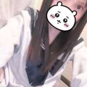 ヒメ日記 2025/12/17 02:00 投稿 一色 ほの アリス女学院 日本橋校