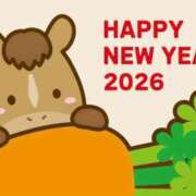 ヒメ日記 2026/01/01 15:06 投稿 れな 人妻・若妻デリヘル レディプレイス