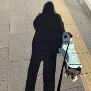 ヒメ日記 2026/03/19 08:30 投稿 ゆあ 品川ミセスアロマ（ユメオト）