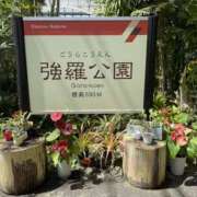 ヒメ日記 2026/04/17 13:14 投稿 ゆあ 品川ミセスアロマ（ユメオト）