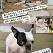ヒメ日記 2026/07/24 09:01 投稿 ゆあ 品川ミセスアロマ（ユメオト）
