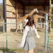 ヒメ日記 2025/12/24 02:45 投稿 むと The White