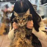 ヒメ日記 2026/04/17 14:30 投稿 ことね ドンファン