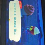 ヒメ日記 2026/04/23 19:01 投稿 ことね ドンファン