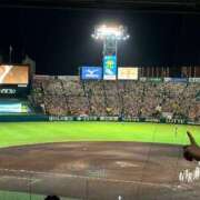 ことね 交流戦 ドンファン