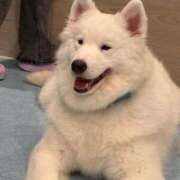 ヒメ日記 2025/12/23 23:32 投稿 あすか 宮城♂風俗の神様 仙台店