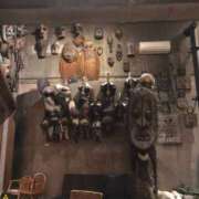 ヒメ日記 2025/12/19 19:23 投稿 あおい 胡蝶蘭