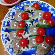 ヒメ日記 2025/12/24 17:43 投稿 あおい 胡蝶蘭