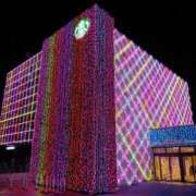 ヒメ日記 2026/01/08 06:39 投稿 あおい 胡蝶蘭