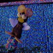 ヒメ日記 2026/01/08 17:05 投稿 あおい 胡蝶蘭