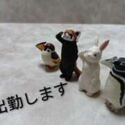 ヒメ日記 2026/01/28 07:11 投稿 あおい 胡蝶蘭