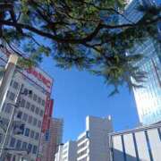 ヒメ日記 2026/01/31 09:52 投稿 あおい 胡蝶蘭