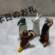 ヒメ日記 2026/01/31 21:55 投稿 あおい 胡蝶蘭