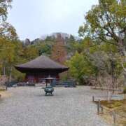 ヒメ日記 2026/03/30 16:54 投稿 あおい 胡蝶蘭