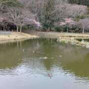 ヒメ日記 2026/04/04 19:06 投稿 あおい 胡蝶蘭