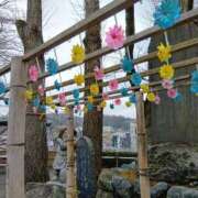 ヒメ日記 2026/04/06 09:34 投稿 あおい 胡蝶蘭