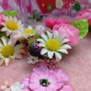 ヒメ日記 2026/08/20 13:04 投稿 あおい 胡蝶蘭