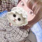 ヒメ日記 2026/03/15 14:02 投稿 いずみ 池袋サンキュー