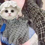 ヒメ日記 2026/04/01 11:41 投稿 いずみ 池袋サンキュー