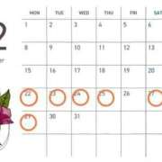 ヒメ日記 2025/12/17 15:31 投稿 かりな 天空のマット