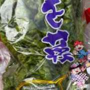 ヒメ日記 2025/12/30 13:31 投稿 かりな 天空のマット